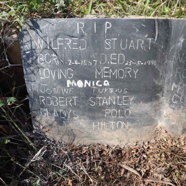 STUART Wilfred Dinky 1967-1998 _2