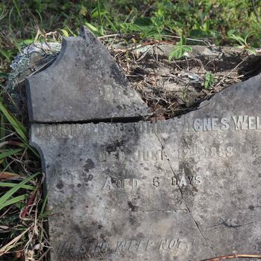 W - Surnames :: Vanne - W