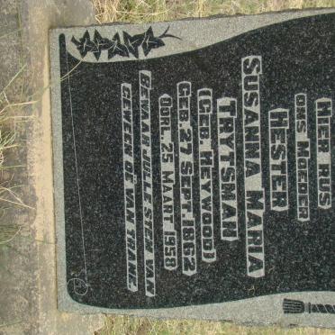 T - Vanne :: Surnames - T