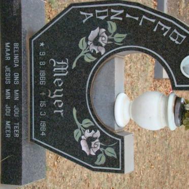 MEYER Belinda 1966-1984
