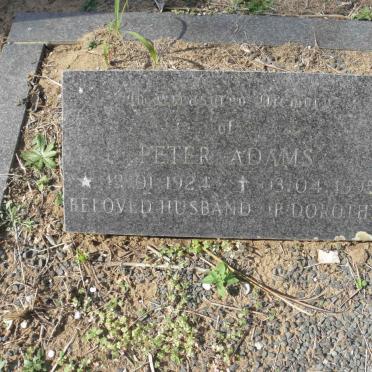 ADAMS Peter 1924-1995