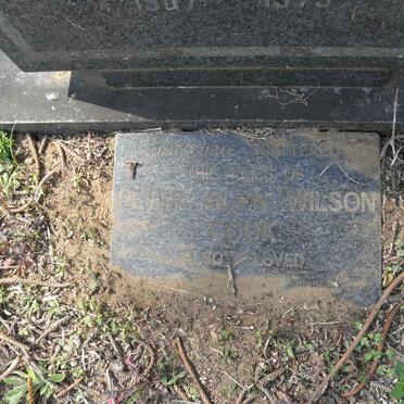 COOK Peter Alan Wilson