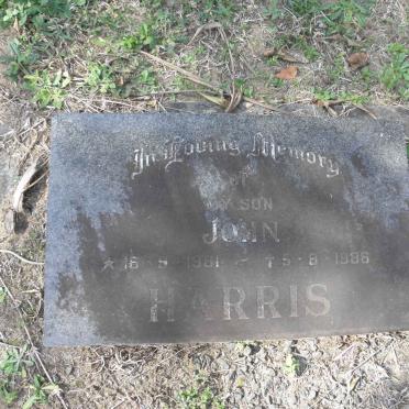 HARRIS John 1981-1986