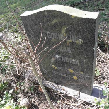? Cornelius Jan Hendrik 1908-1986