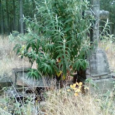 Kwazulu-Natal, UMZIMKULU district, Sihleza Forest, Bosch Hoek 144, old cemetery