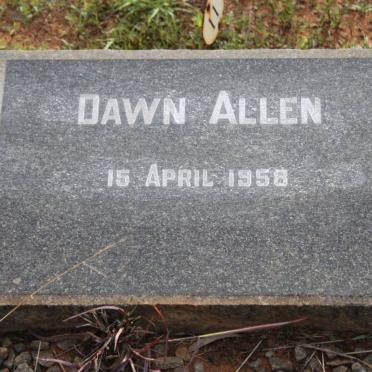 ALLEN Dawn -1958
