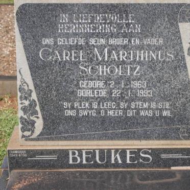 BEUKES Carel Marthinus Scholtz 1963-1993