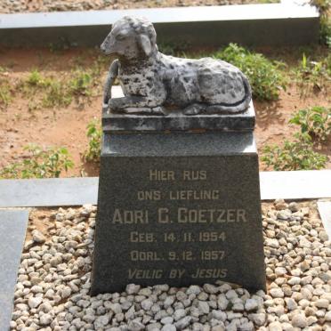 COETZER Adri G. 1954-1957