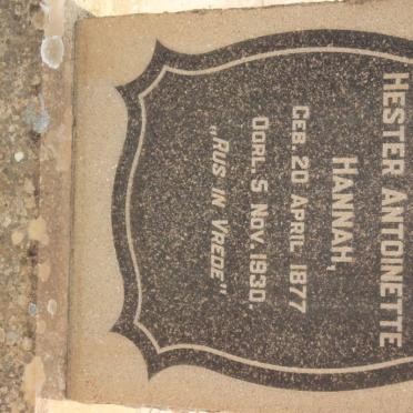 HANNAH Hester Antoinette 1877-1930