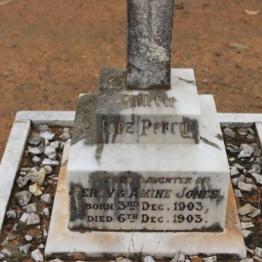 JONES Valerie Inez Perry 1903-1903
