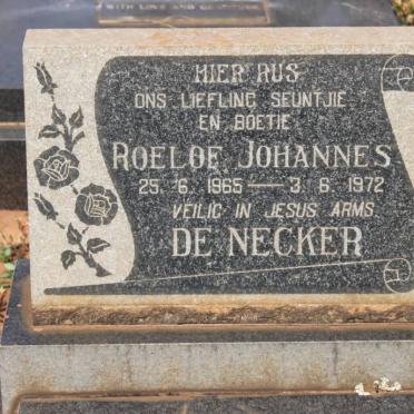NECKER Roelof Johannes, de 1965-1972