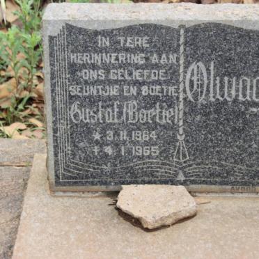 OLWAGEN Gustaf 1964-1965