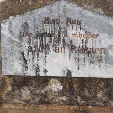 REENEN Cato, van