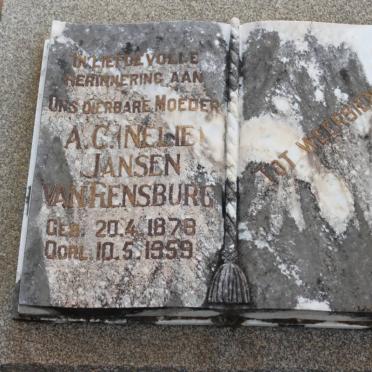 RENSBURG A.C., Jansen van 1878-1959