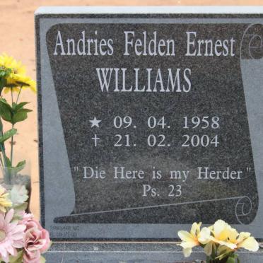 WILLIAMS Andries Felden Ernest 1958-2004