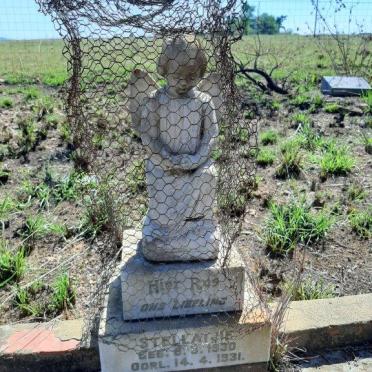 Kwazulu-Natal, VRYHEID district, Nooitgedacht 479, farm cemetery
