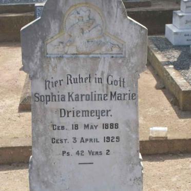 DRIEMEYER Sophia Karoline Marie 1888-1929