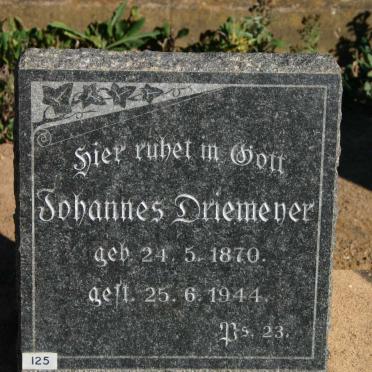 DRIEMEYER Johannes 1870-1944