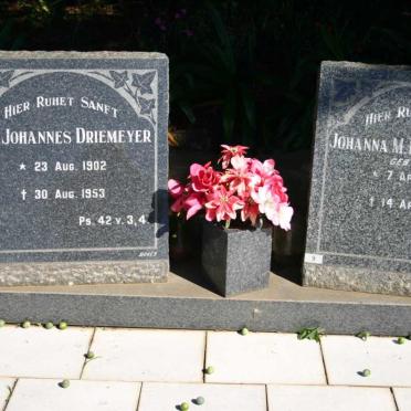 DRIEMEYER A.F. Johannes 1902-1953 &amp; Johanna M.L.F. HOLST 1909-1990