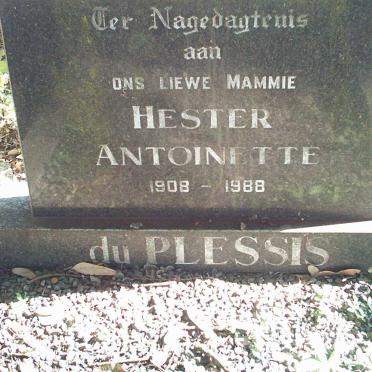 PLESSIS Hester Antoinette, du 1908-1988