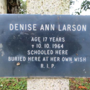 LARSON Denise Ann -1964