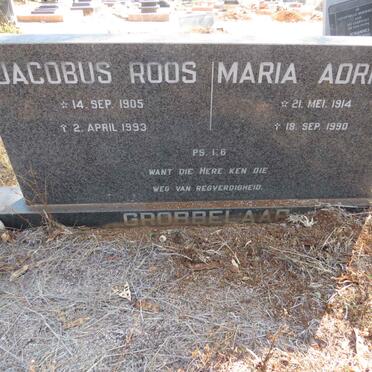 GROBBELAAR Jacobus Roos 1905-1993 & Maria Adriana 1914-1990