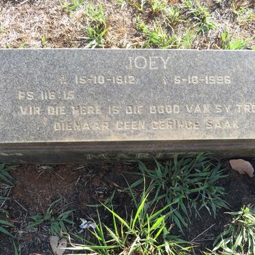 MARITZ Joey 1912-1996