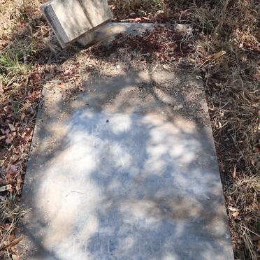 STADEN Evert Philippus, van 1908-1995 :: STADEN Rachel Johanna Susanna, van nee KOCK, de 1915-1987