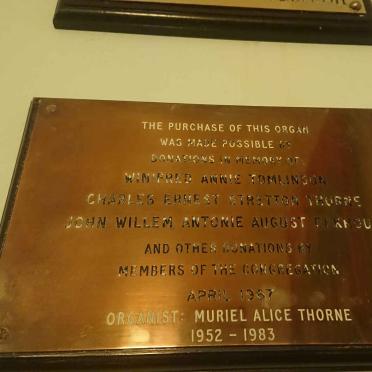 THORNE :: TOMLINSON :: EEKHOUT
