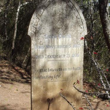 Limpopo, BOLOBEDU district, Medingen, Ravens Hill 195, farm cemetery