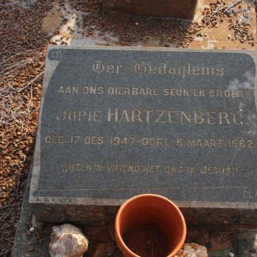 HARTZENBERG Jopie 1947-1962