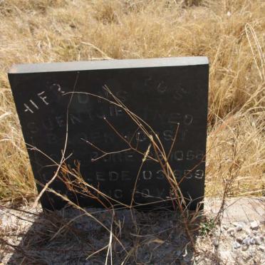 Limpopo, ELIAS MOTSOALEDI district, Rooikraal 188 JS, farm cemetery _2