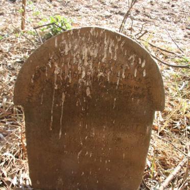 Limpopo, ELIAS MOTSOALEDI district, Groblersdal, Varkenskraal 19 JS, farm cemetery