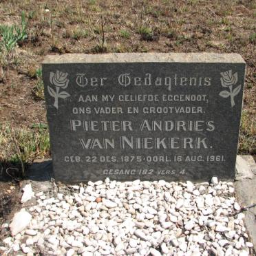 NIEKERK Pieter Andries, van 1875-1961