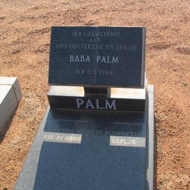 PALM 1988-1988