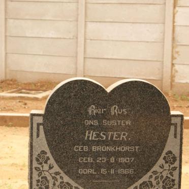 HIETBRINK Hester nee BRONKHORST 1907-1966