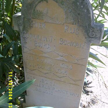 BOSMAN Cornelia J. nee BOTHA 1864-1949