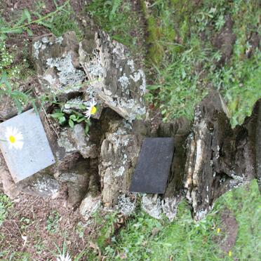 LYNCH Frank Patrick 1917-1986 :: LYNCH Steven Patrick 1944-2001