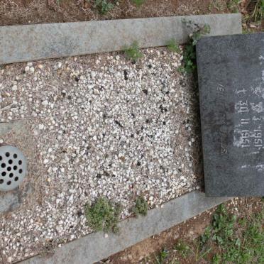 SWART Willempie 1951-1951