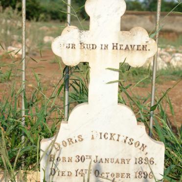 DICKINSON Doris 1896-1896