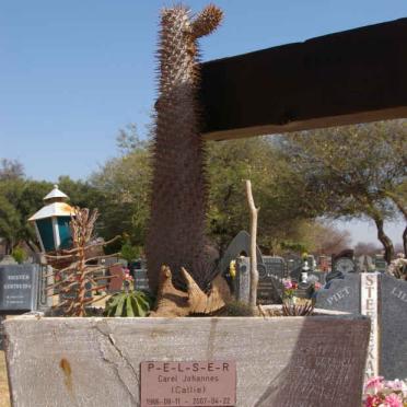 PELSER Carel Johannes 1968-2007