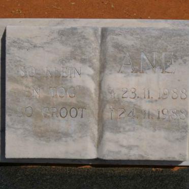 COETSEE Ane 1988-1988