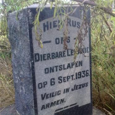 Limpopo, LETABA 1 district, Mooketsi, Keerom 352 LT, farm cemetery