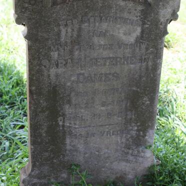 DAMES Sarah Pieternella nee BOTHA 1891-1921