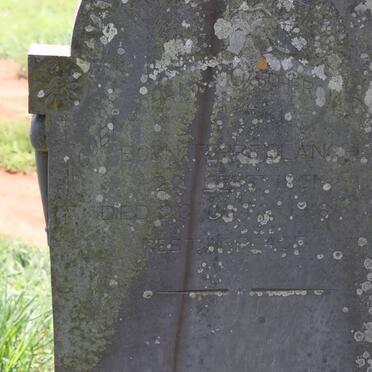 FOGWELL Jacoba Johanna Catherina nee TERREBLANCHE 1851-19?8