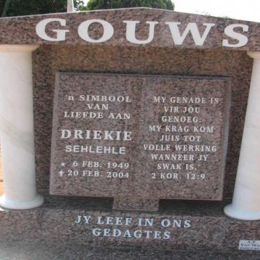GOUWS Driekie 1949-2004