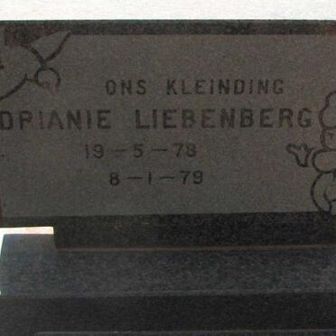 LIEBENBERG Drianie 1978-1979