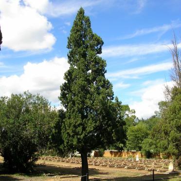 3. Concentration Camp Cemetery and Memorial overviews