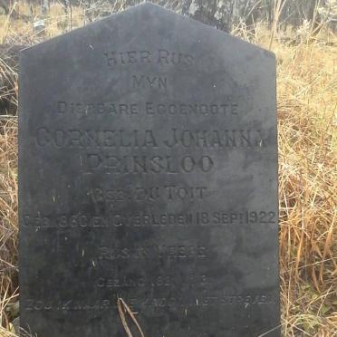 Limpopo, MOKOPANE district, Mookgopong, Driefontein, farm cemetery