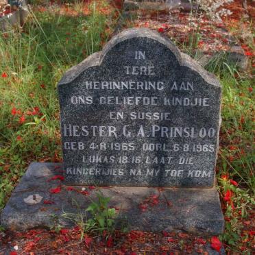 PRINSLOO Hester G.A. 1965-1965